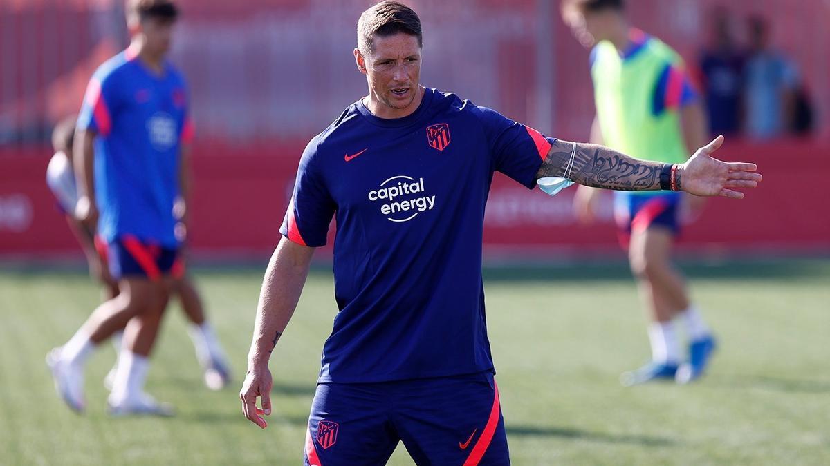 Fernando Torres: Huyền Thoại Bóng Đá Và Dấu Ấn Đặc Biệt